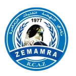 نهضة الزمامرة
